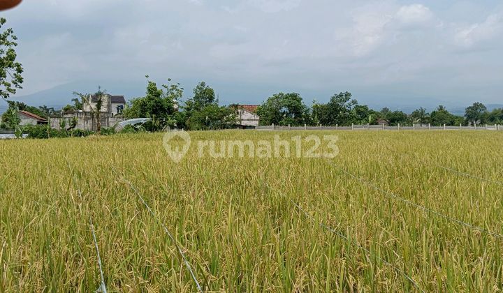 Dijual Tanah 1 Hektar Dekat Ipb Bogor Cocok Utk Perumahan,Kos An Dijual Tanah 1 Hektar Dekat Ipb Bogor Cocok Utk Perumahan,Kos An