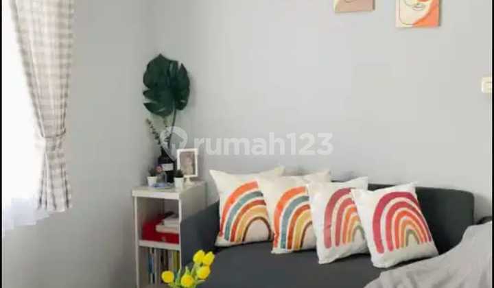 ******** Elysia Rapi Renov Owddwdnuek ******** Elysia Rapi Renov Owddwdnuek