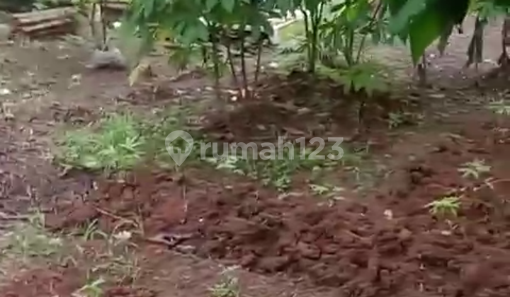 Warehouse + Plot for Sale in Curug Warehouse + Plot for Sale in Curug