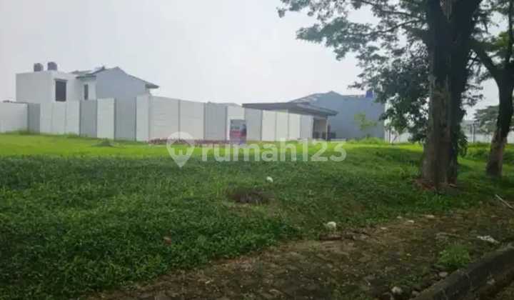 Jual Kav Meranti Owdawoooniea Jual Kav Meranti Owdawoooniea