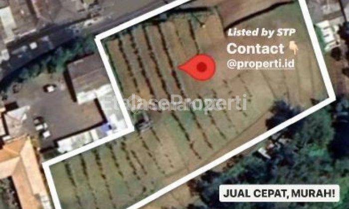 Dijual Tanah Desa Tosari Dekat Plataran Bromo 1