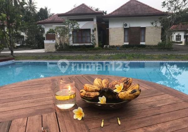 Ready-to-Use Beautiful Villa in Borobudur Subdistrict, Magelang Regency, Central Java