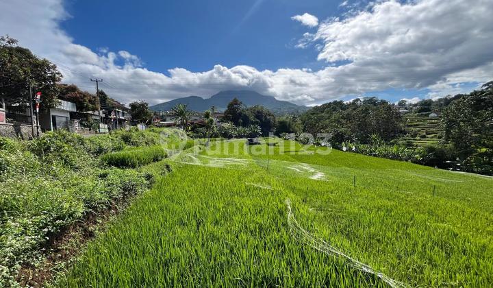Tanah Ujung Berung Cocok untuk Perumahan Tanah Ujung Berung Cocok untuk Perumahan