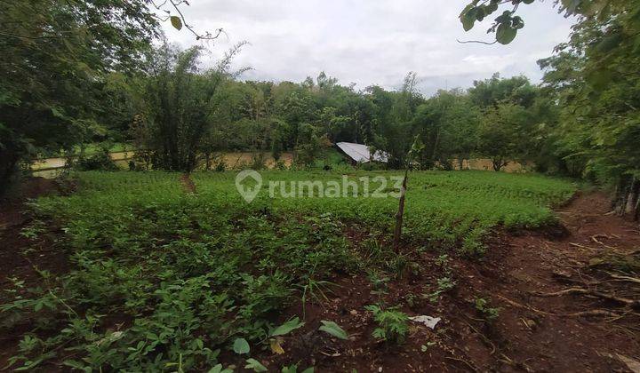 Tanah luas dan adem area bantul ,yogyakarta 2