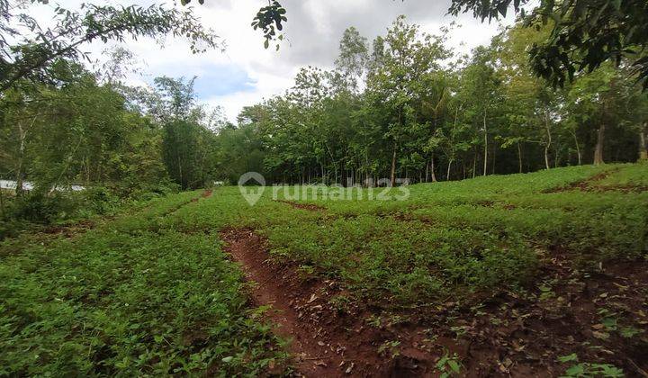 Tanah Luas Cocok Buat Perumahan Dekat Citramaja Banten 1