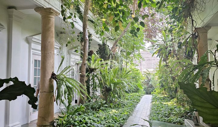 Rumah Klasik Cantik Artistik Dekat Taman Surapati Menteng