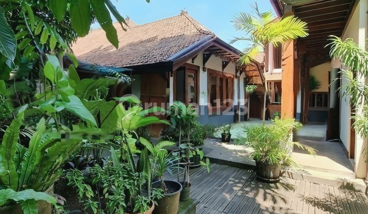 Rumah Terawat Lokasi Mentereng Di Menteng Jual Murah Rumah Terawat Lokasi Mentereng Di Menteng Jual Murah