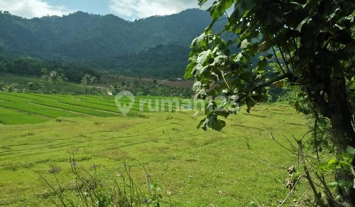Permata Hijau, Tanah Langka Harga Murah Lokasi Pusat Kota