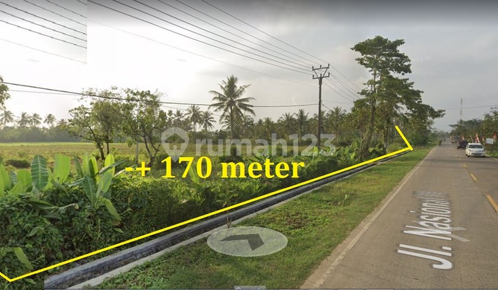 jual tanah 4 hektar surat SHM jln raya panimbang Tanjung Lesung Pandeglang banten