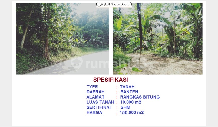 2 hectares of land with SHM certificate on Kadu Agung Road, Rangkasbitung, Lebak, Banten.