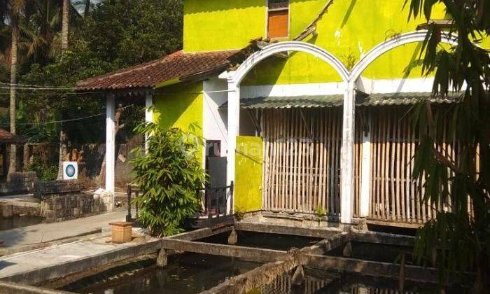 Rumah Di Lingkungan Yg Asri Cocok Untuk Rumah Hunian Dan Resto 1