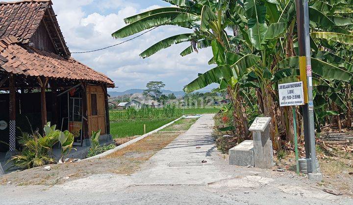 Tanah Lokasi Premium Bentuk Kotak Cocok Untuk Tanah Kapling Dan Perumahan Dekat Fasilitas Wisata Tanah 2