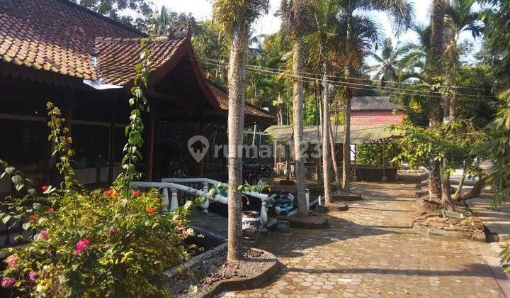 Rumah Di Lingkungan Yg Asri Cocok Untuk Rumah Hunian Dan Resto 2