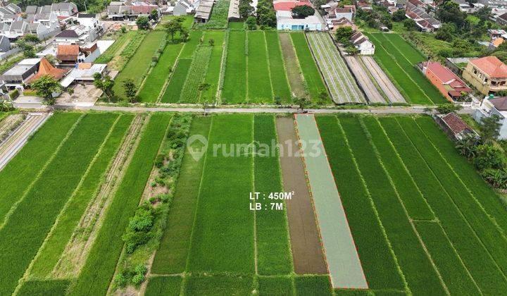 Tanah Sawah 2