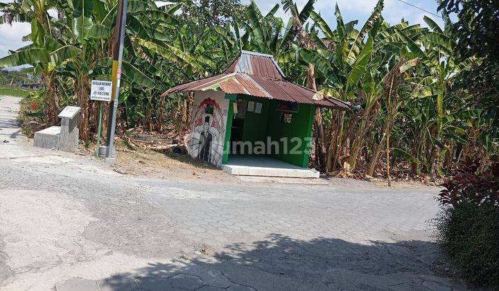 Tanah Lokasi Premium Bentuk Kotak Cocok Untuk Tanah Kapling Dan Perumahan Dekat Fasilitas Wisata Tanah