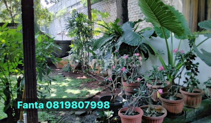 Rare Find! Spacious and Affordable House in South Jakarta, Needs Renovation | KH 2