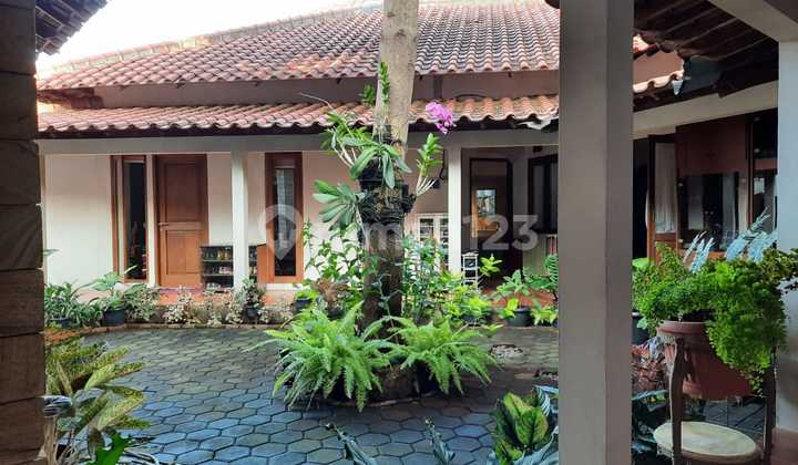 Rumah Besar & Luas Lengkap Dengan Kolam Renang Cantik Di River Park Sektor 8 2642 Rumah Besar & Luas Lengkap Dengan Kolam Renang Cantik Di River Park Sektor 8 2642