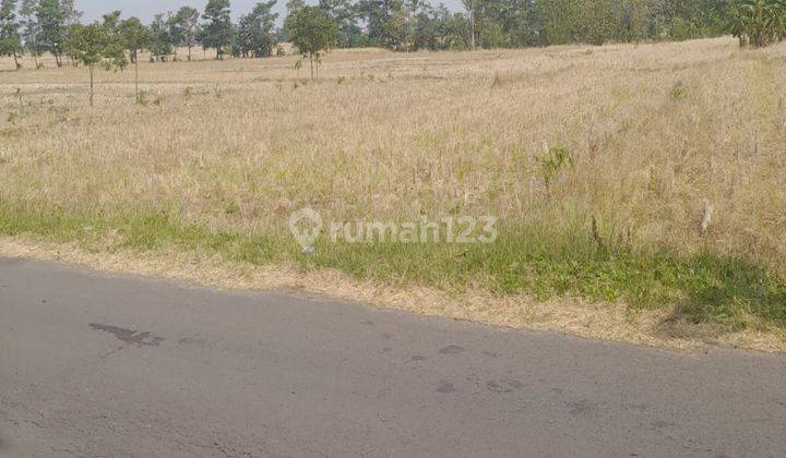 Tanah pergudangan Kertajati majalengka 2