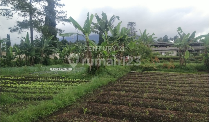 Tanah Murah Di Bawah Njop Lokasi Stratregis Mainroad Cisarua