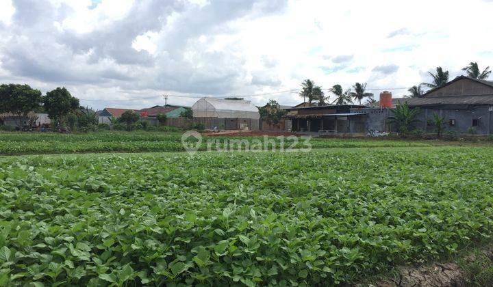  Dijual Kavling Di Teluk Naga, dekat Gudang laksana  1