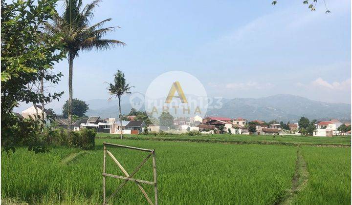 Tanah Sawah Luas di Pinggir Jalan Cingcin Soreang 1