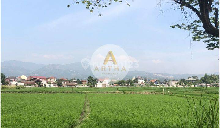 Tanah Sawah Luas di Pinggir Jalan Cingcin Soreang 2