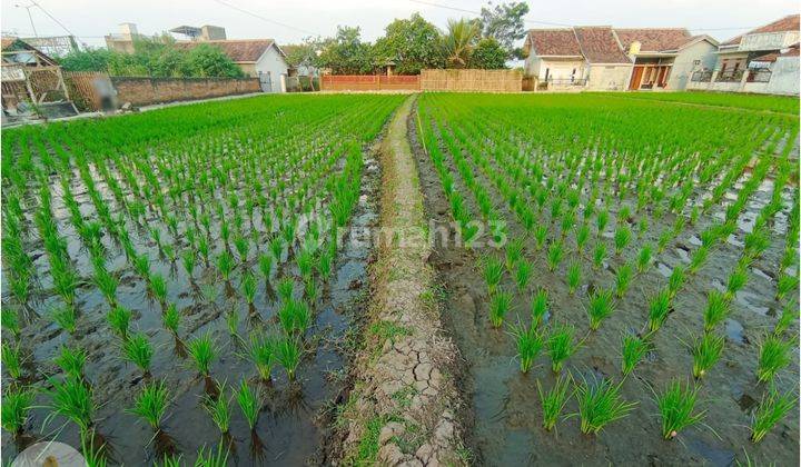 Tanah Sawah Luas Sayap Tol Soroja Bandung Cocok Untuk Usaha 2