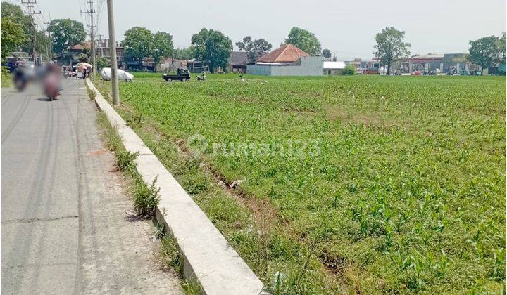 Tanah Murah Bentuk Kotak di Ciherang Soreang Cocok Untuk Komersil 1