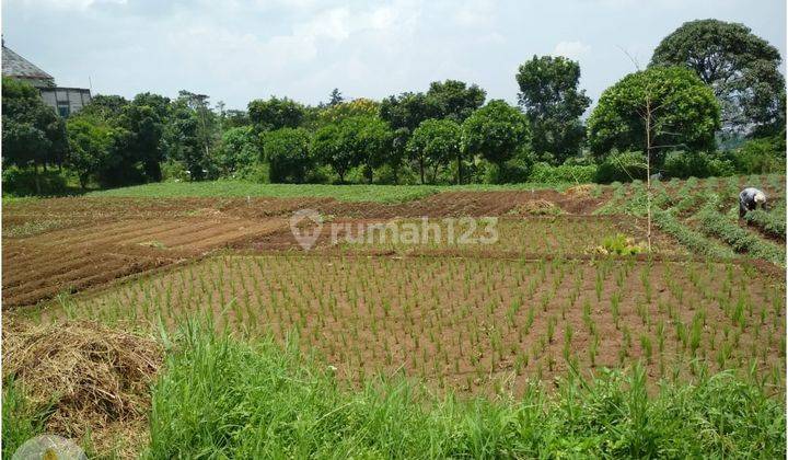 Tanah Luas di Cisurupan Cibiru Bandung Timur Dekat Uin 1