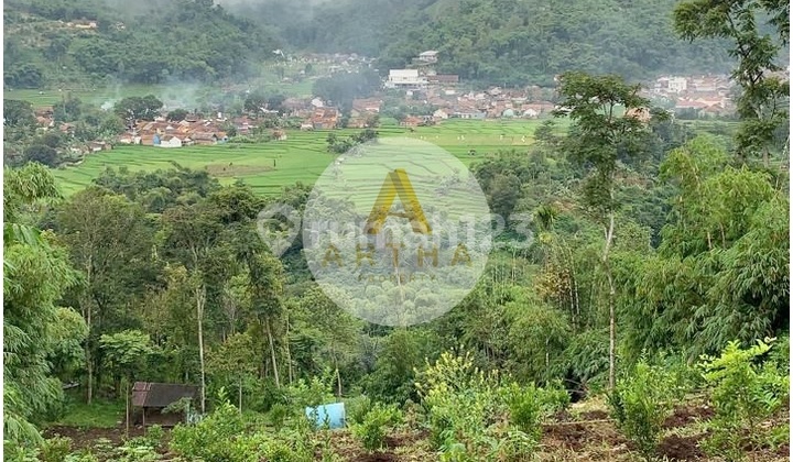 Tanah Murah dan Luas di Cikoneng Pasir Jambu Ciwidey Bandung Tanah Murah dan Luas di Cikoneng Pasir Jambu Ciwidey Bandung
