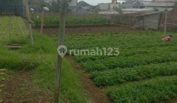 Dijual Murah Tanah Siap Bangun Lokasi Strategis di Jalur Utama Cisarua Cihanjuang