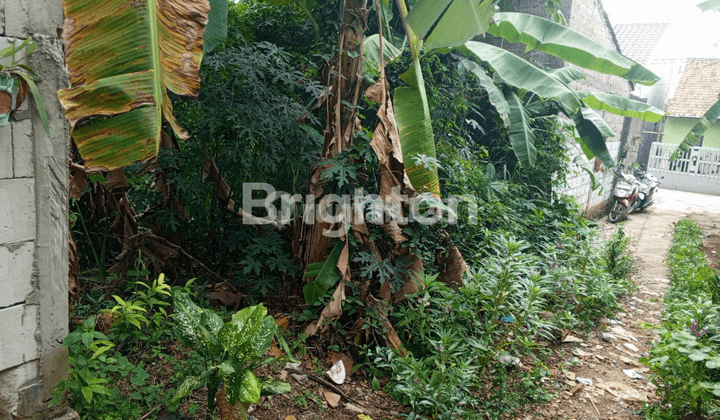 TANAH LAHAN KP CURUG CIKARET DEKAT SETU CIBINONG 1