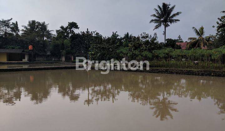 TANAH LUAS  EX FARM IKAN AIR TAWAR 1