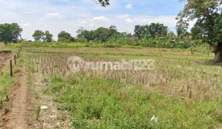 Tanah Disubang Pinggir Jln Raya Cibogo. LT 300 Ha. Hrg 450 Rb/ M