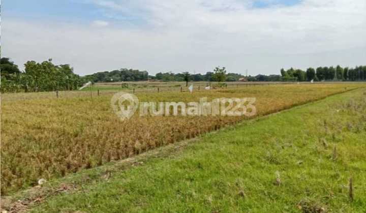 Tanah Disubang Pinggir Jln Raya Cibogo. LT 300 Ha. Hrg 500 Rb/ M