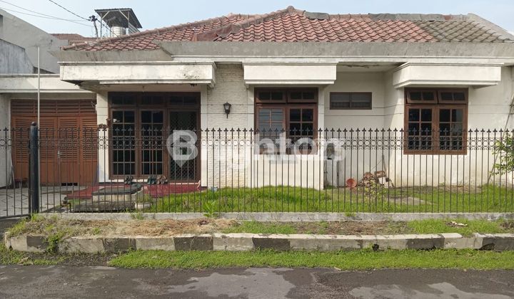 Pearl Cottage House Pearl Cottage House