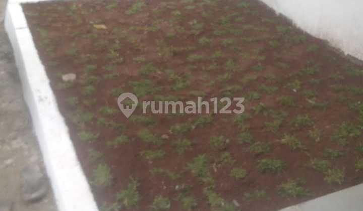 Rumah Didalam Cluster 3 Kt Angsuran 2jtan Hanya 2jt Sdh Gratis Biaya2 Dkt Stasiun Citayam Dan Tol Bomang