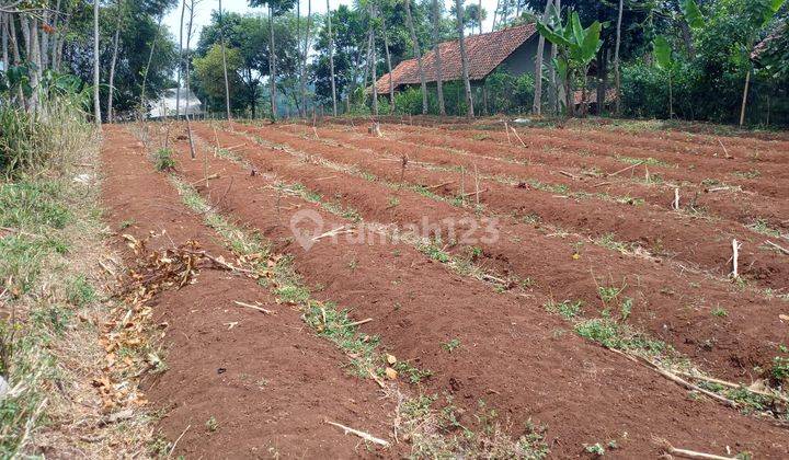 Muraah, Tanah Siap Bangun Di Jl Neglasari, Arjasari 2