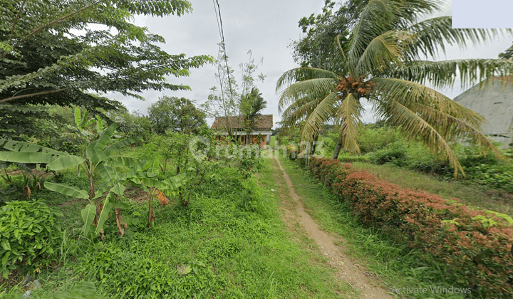 KP SAWAH – DEKAT RUMPIN ECO PARK - TANAH MURAH SEKALI – JALAN 2 MOBIL  2