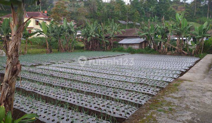 Tanah pekarangan siap bangun 2