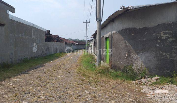Kandang babi siap pakai 3