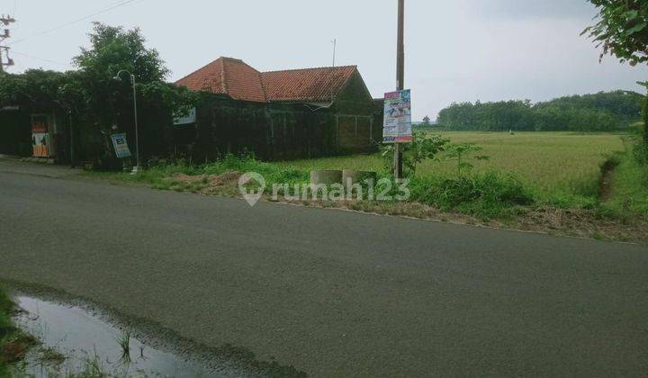 Tanah zona kuning Cocok Untuk Dibangun Tempat Hunian maupun Usaha.
 2