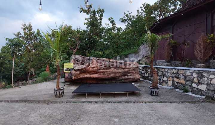 Tempat Usaha Wisata Dengan View Sunrise Tempat Usaha Wisata Dengan View Sunrise