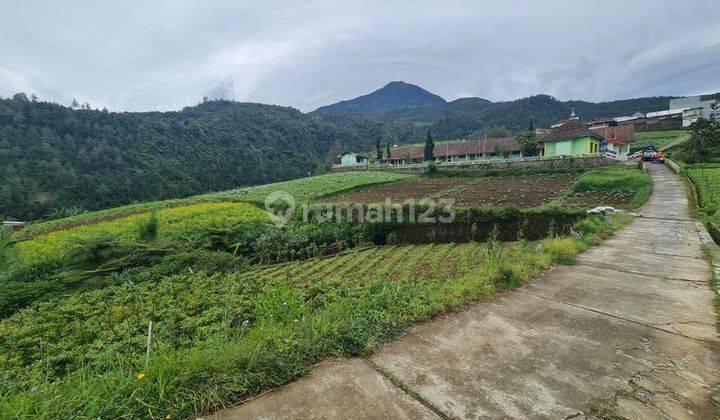 Tanah pekarangan siap bangun villa di blumbang tawangmangu 2