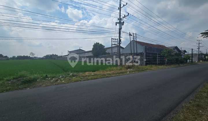 Red Zone Land for Industry on Mojo Tasikmadu Road, Karanganyar, Solo.