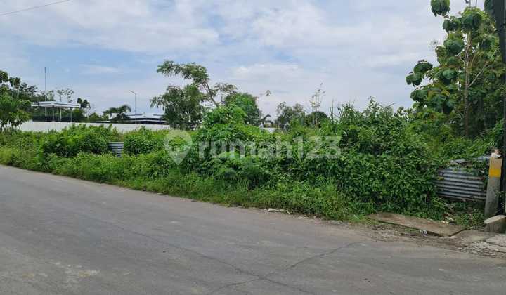 Dijual Tanah Strategis Dekat Ringroad Mojosongo Solo, Super Luas, Akses Container. Cocok Untuk Pabrik Atau Gudang. Dijual Tanah Strategis Dekat Ringroad Mojosongo Solo, Super Luas, Akses Container. Cocok Untuk Pabrik Atau Gudang.
