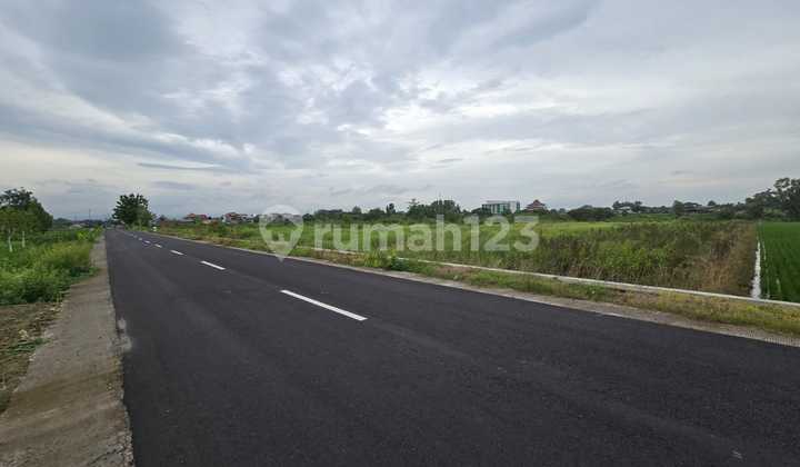 Tanah Murah Strategis Dekat Jalan Raya Solo Jogja Tanah Murah Strategis Dekat Jalan Raya Solo Jogja