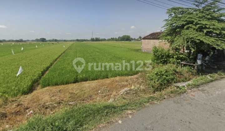 Strategic Affordable Land on Wonosari Pakis Klaten Solo Main Road Strategic Affordable Land on Wonosari Pakis Klaten Solo Main Road