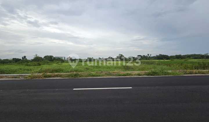 Tanah Strategis Dekat Jalan Raya Solo Jogja Tanah Strategis Dekat Jalan Raya Solo Jogja