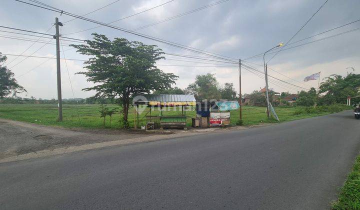 Tanah Strategis Pinggir Jalan Raya Waduk Cengklik Boyolali 2